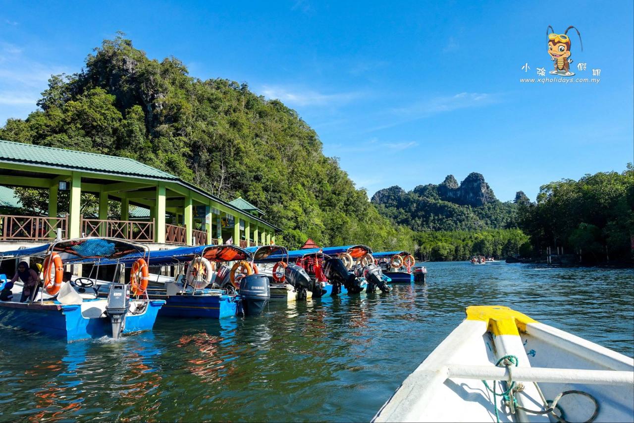 Jelajahi Ekosistem Mangrove Langkawi yang Menawan